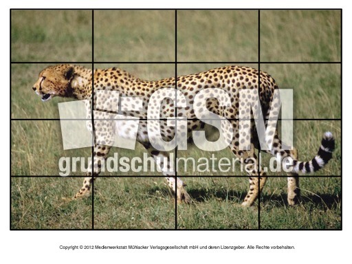 Puzzle-Gepard.pdf